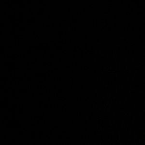 Meet your Posher, Valeriia